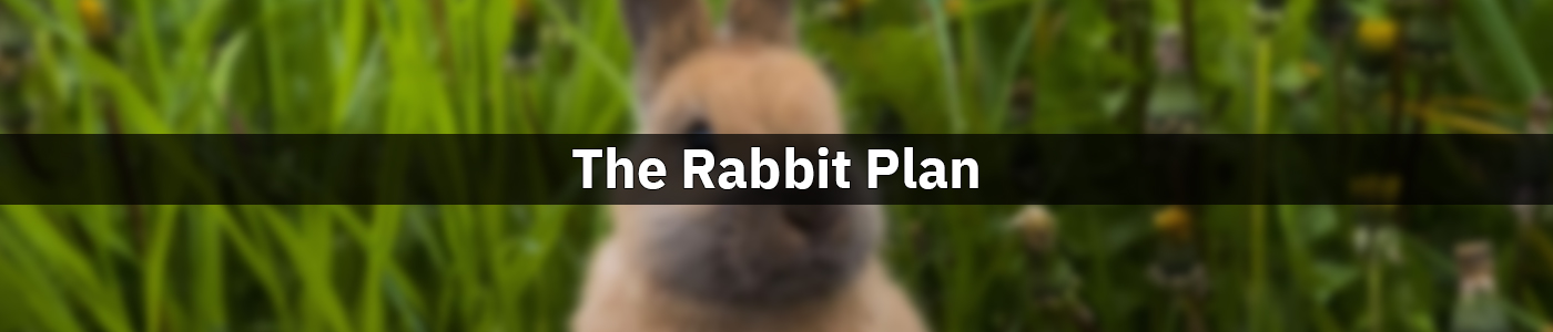 Rabbit Pet Healthcare Plans